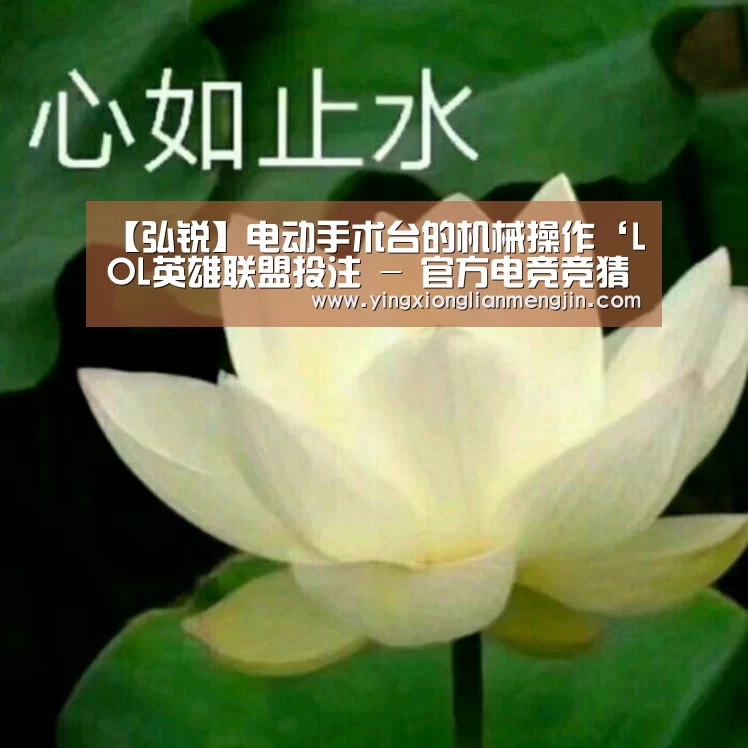 LOL英雄联盟投注 - 官方电竞竞猜平台