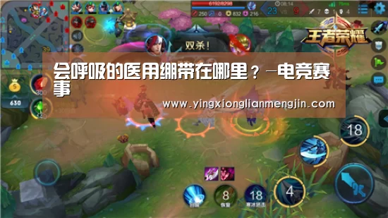 LOL英雄联盟投注 - 官方电竞竞猜平台官网