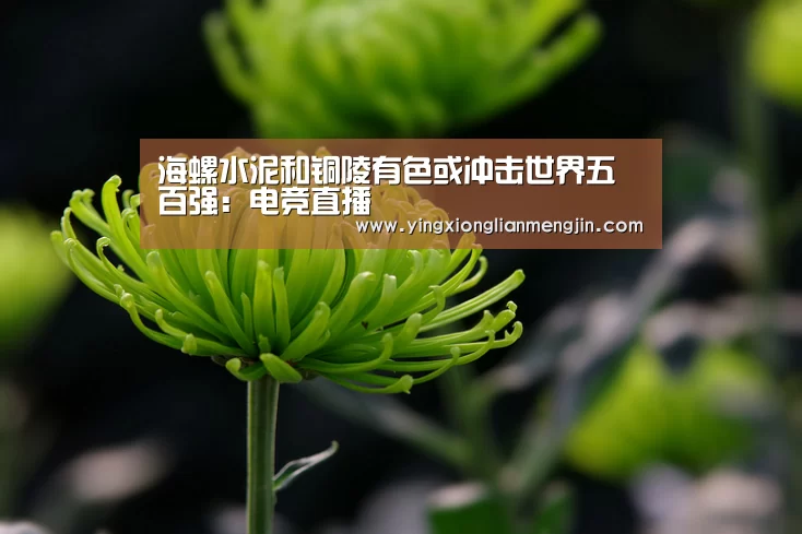 LOL英雄联盟投注 - 官方电竞竞猜平台