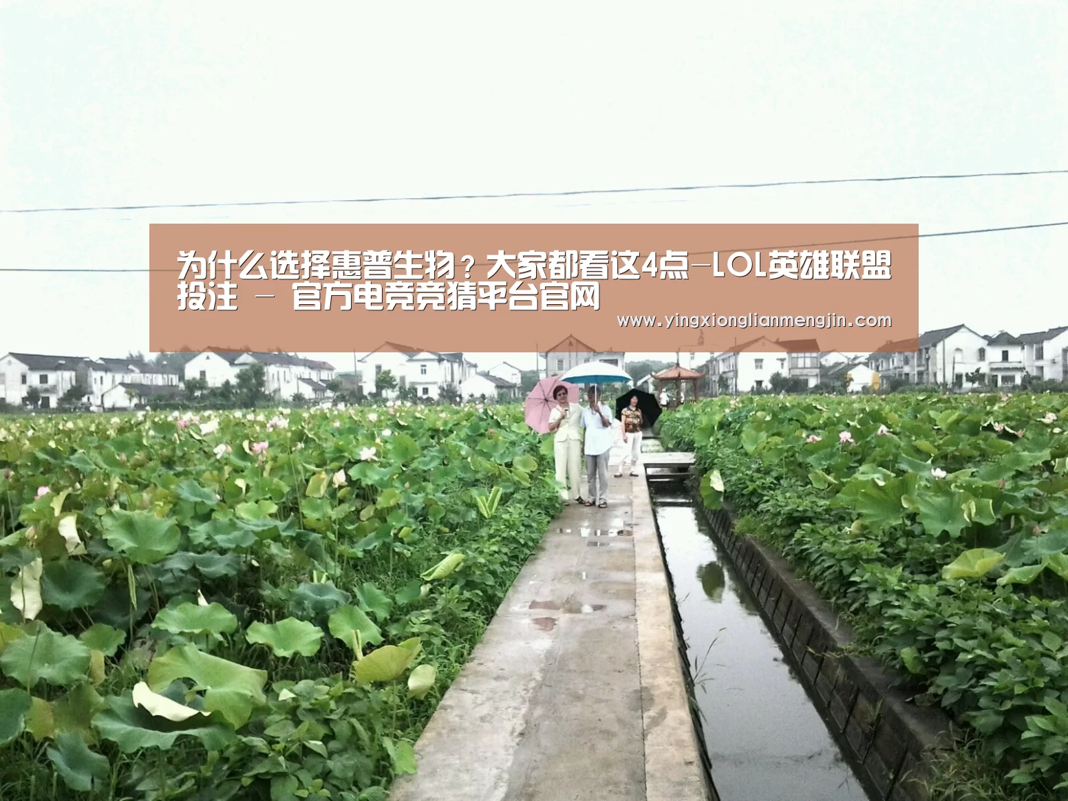 LOL英雄联盟投注 - 官方电竞竞猜平台