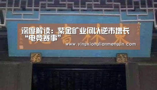 LOL英雄联盟投注 - 官方电竞竞猜平台官网