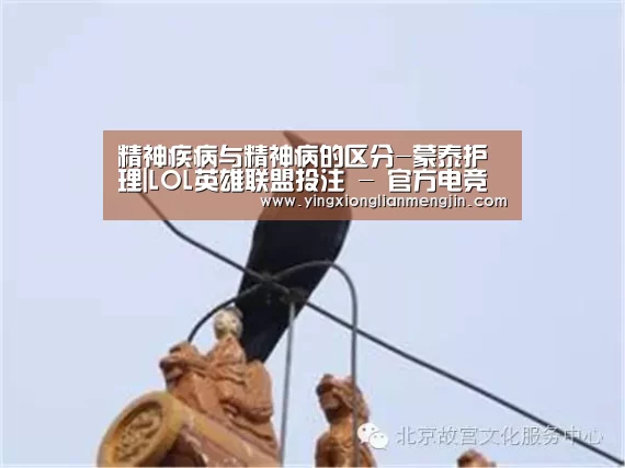 电竞直播